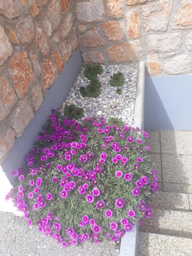 Villa Mihaela - Apartment Ana Cesarica Luaran gambar